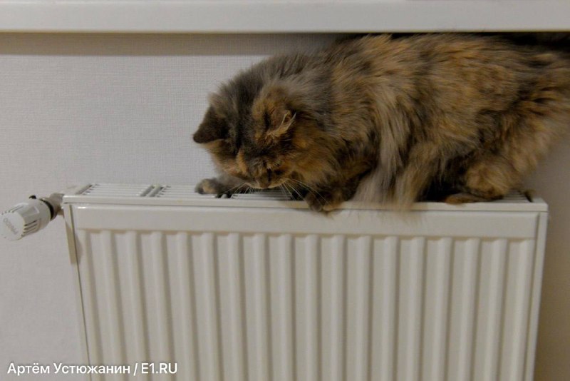 В Петербурге сотня домов остались без отопления