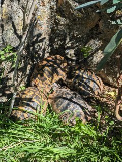 Иллюстрация 3