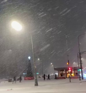 Иллюстрация 1