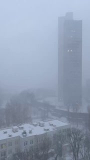 Оранжевая метель в Москве