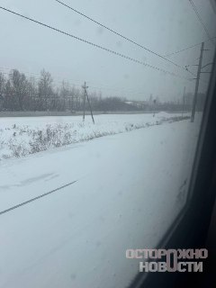 Иллюстрация 6