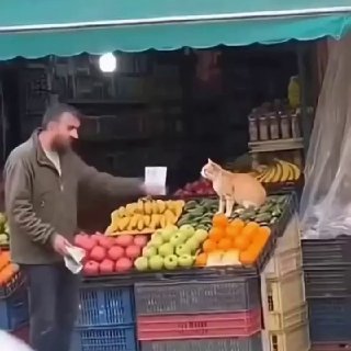 Типичный рабочий момент