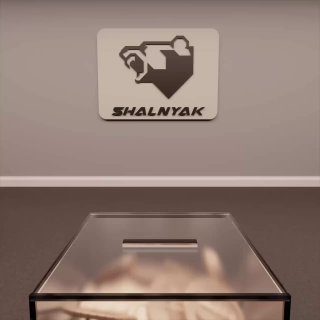 Shalnyak собирает средства для помощи фронту