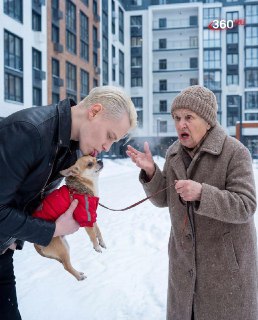 Иллюстрация 8