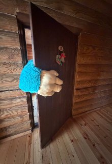 Иллюстрация 4