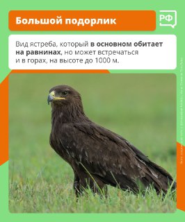 Иллюстрация 3