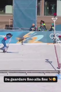 Пес финишировал вместе с лыжницами на Олимпиаде