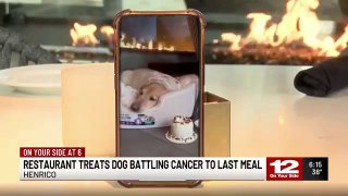 Прощальный ужин для собаки