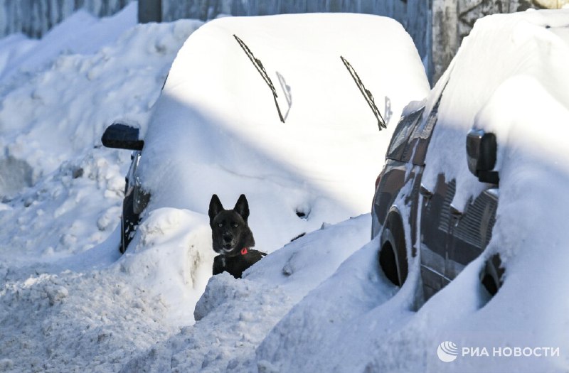 В Москве из снега вытащили 250 автомобилей