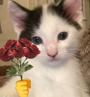 Международный день женского счастья