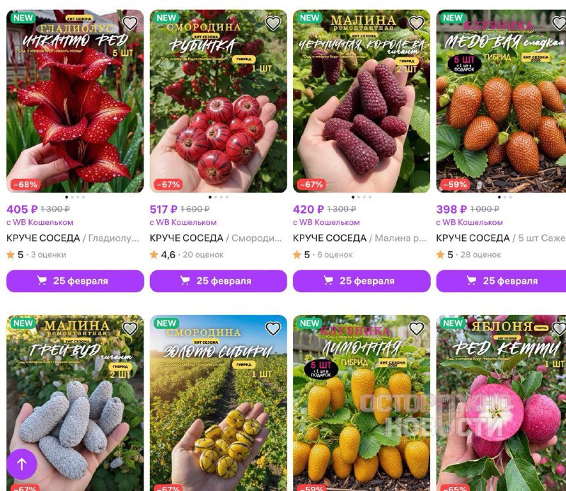 Иллюстрация 2