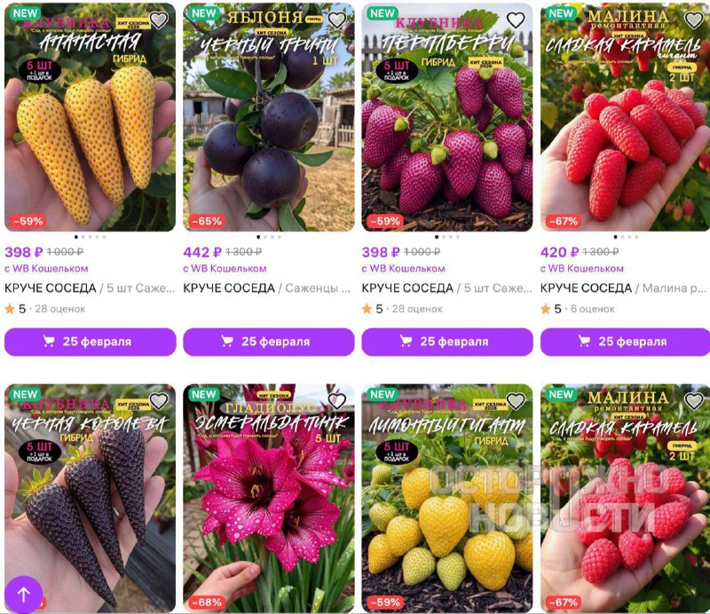 Иллюстрация 3