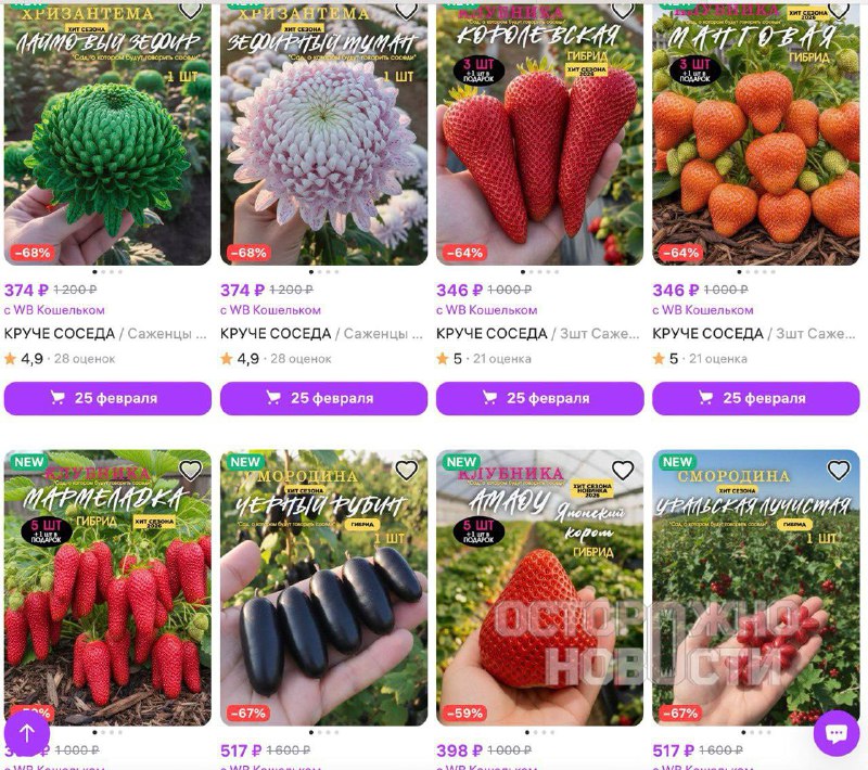 Иллюстрация 4