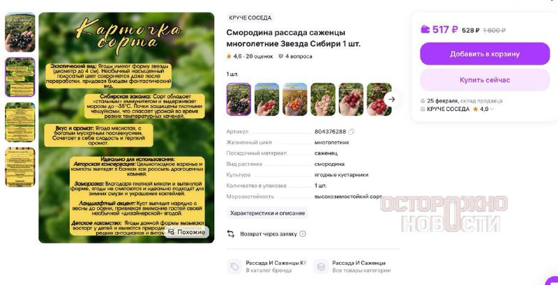 Иллюстрация 5