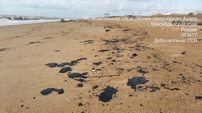 Продолжающиеся выбросы мазута на побережье Чёрного моря