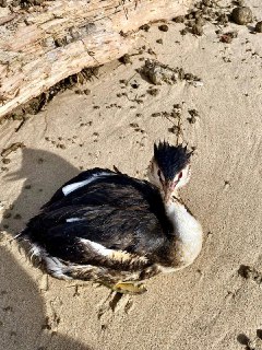 Иллюстрация 3