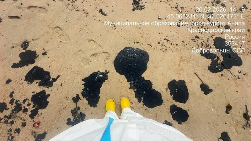 Иллюстрация 4