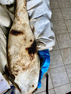 Иллюстрация 5