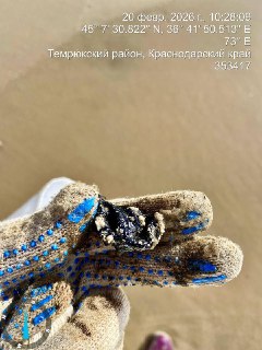 Иллюстрация 6