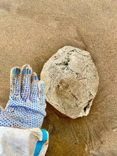 Иллюстрация 7