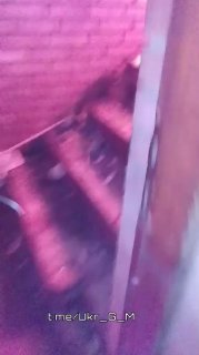 Иллюстрация 1