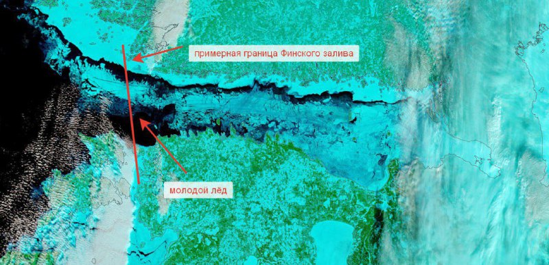 Финский залив замерз впервые за 15 лет