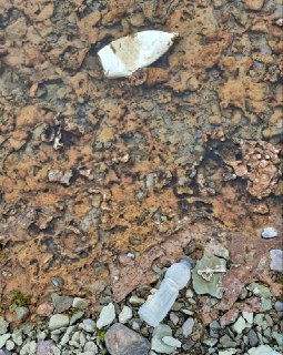 Федор Конюхов собрал 100 кг пластика в Антарктиде