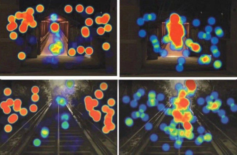 Различия в восприятии: почему мужчины хуже женщин замечают предметы