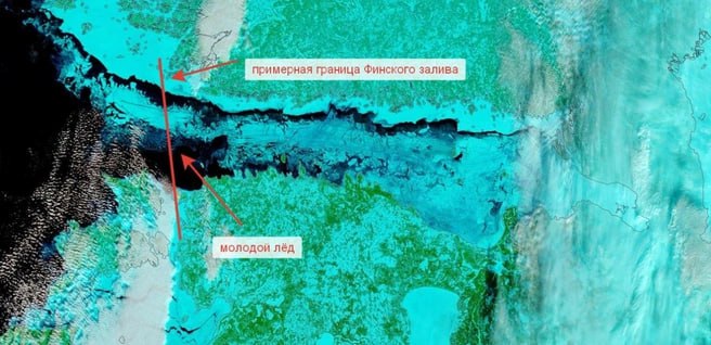 Финский залив скован льдом