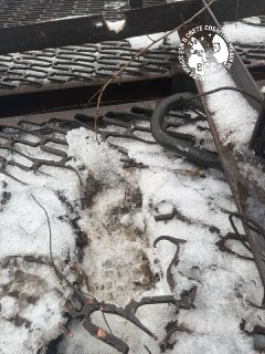 Иллюстрация 6