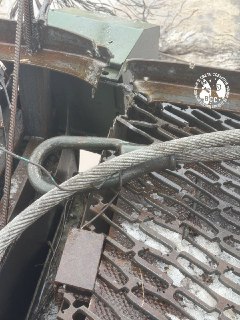 Иллюстрация 7