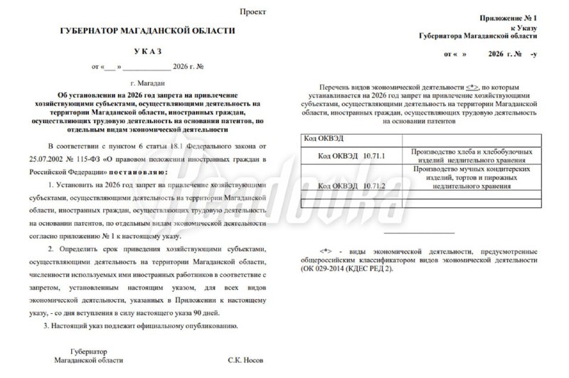 Магадан ограничит участие мигрантов в производстве хлеба