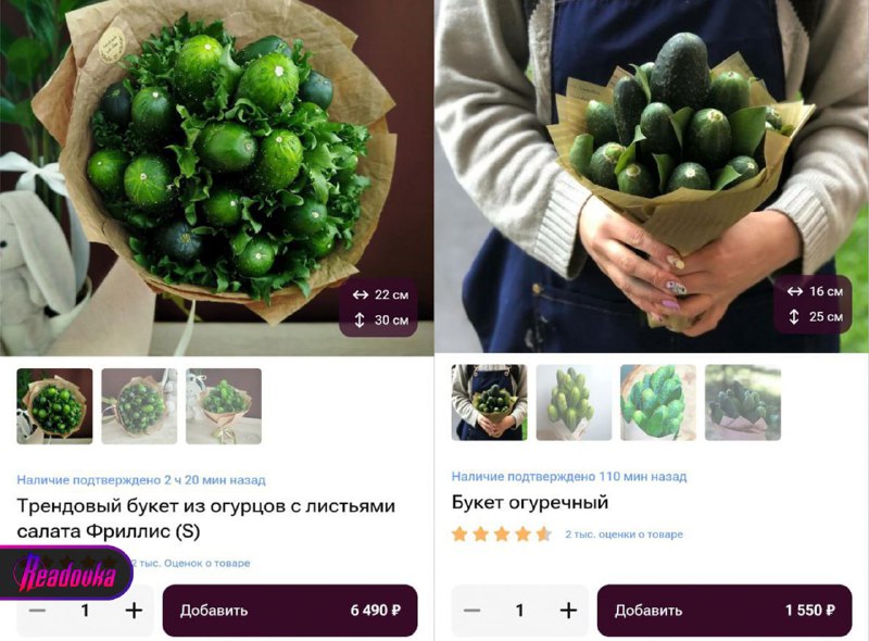 Иллюстрация 1