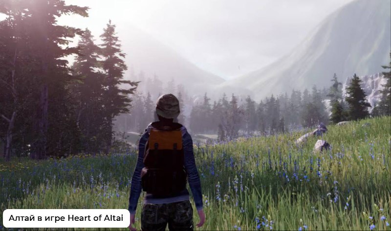 Иллюстрация 5