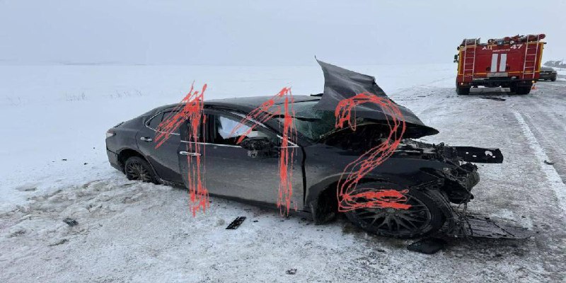 Иллюстрация 2