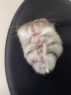 Иллюстрация 1