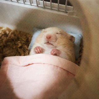 Иллюстрация 3