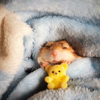 Иллюстрация 5