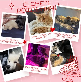 ЗвероПятница отмечает год в эфире