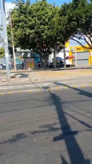 Иллюстрация 8