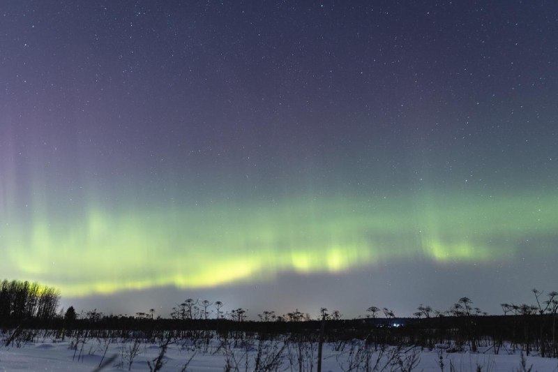 Иллюстрация 2