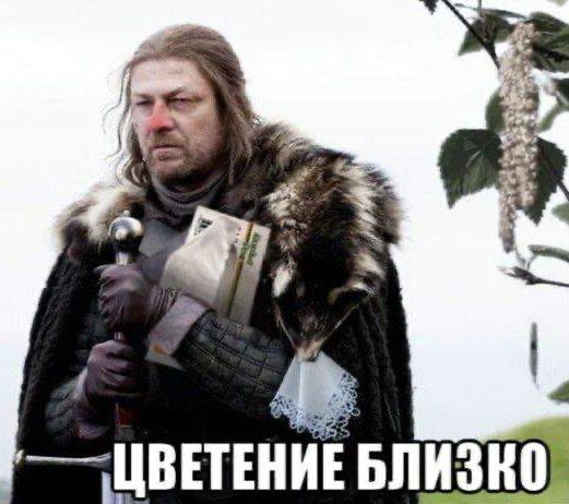 Раннее начало сезона аллергии