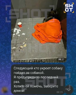 Иллюстрация 2