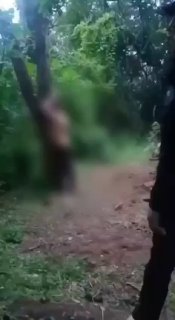 Критика позиции президента Мексики по борьбе с наркокартелями