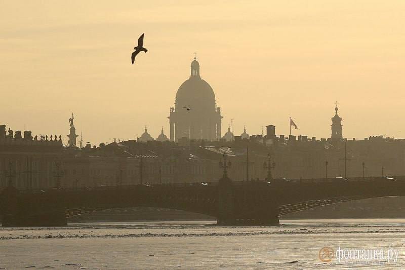 В Петербурге праздничный понедельник будет солнечным