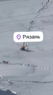 Упорный курьер борется с сугробами ради доставки заказа