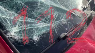 Иллюстрация 2