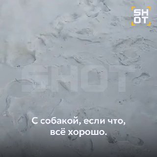 Судьба челябинской Додобони: помощь приходит