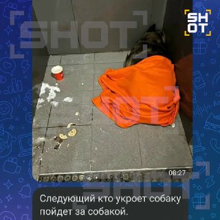 Иллюстрация 3