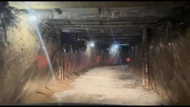 Иллюстрация 3